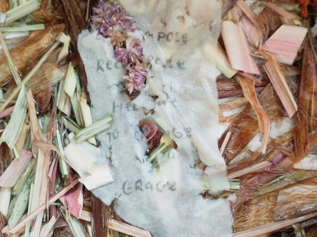 A disintegrating piece of paper sits in top of plant fibers soaking in water. On the paper barely visible words read "decompose, recompose, help me to change with grace."